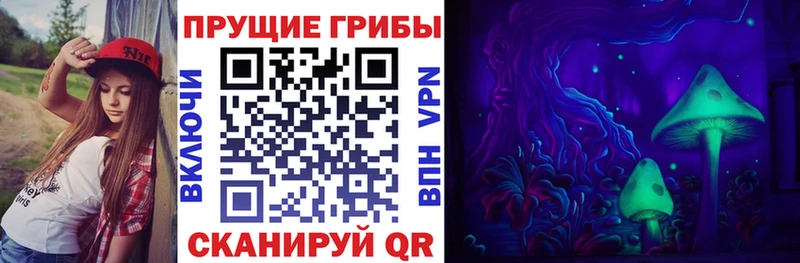 купить наркоту KRAKEN как зайти Галлюциногенные грибы Magic Shrooms Туапсе